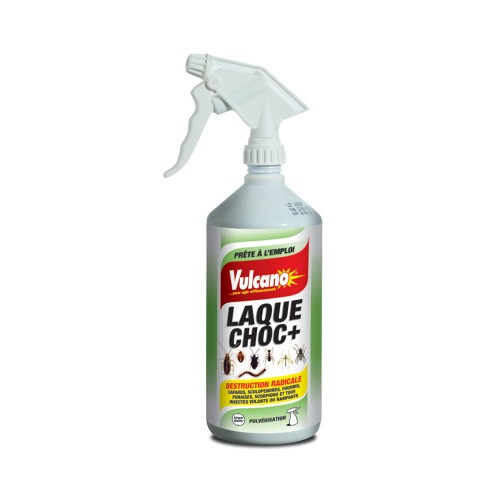 Laque Choc DP 1L - Insecticide Résiduel Choc